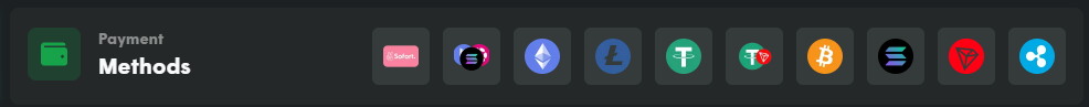 Cases.gg payment methods and support